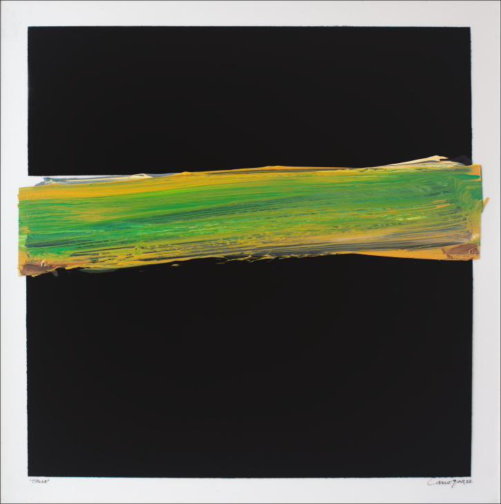 Rafael Canogar: Tallo