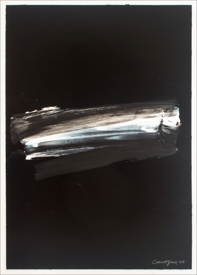 Rafael Canogar: Serie Silencio 50