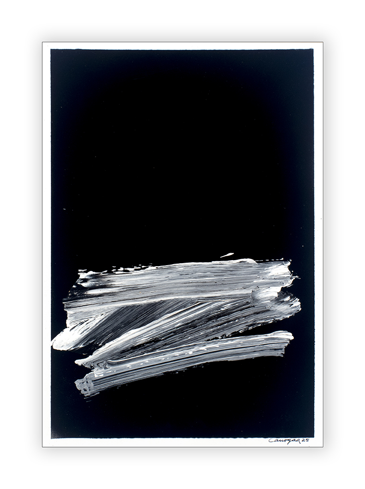 Serie Silencio 55